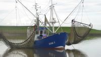 Dangast-Feriendomizil