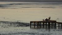 Dangast-Feriendomizil
